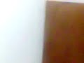 tele traportecion adolfo