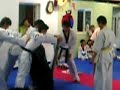 Kyokushin tameshiwari demonstration