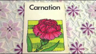 English Vocabulary - Flowers - Nouns - Video 6 Of 10 - Videos For Homeschooling - KG Resources
