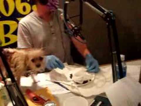 Randy's dog Saint Clare ate money