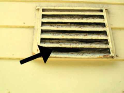 how to replace attic vent screen