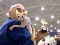 PDN Video/ Cat Show!