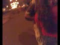 chamuskina en feria