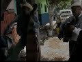 el chubasco los palitos de mascota jalisco