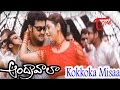 View Video