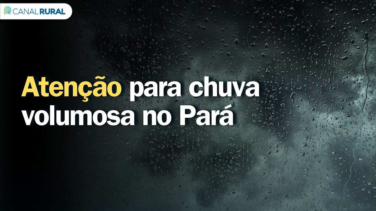 Atenção para chuva volumosa no Pará | Previsão do tempo 24h