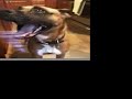 See Video