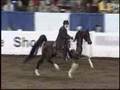Hot Monica - Half Arabian by the Saddlebred stallion Monaco