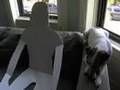 videos de Missing