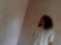 3 deo