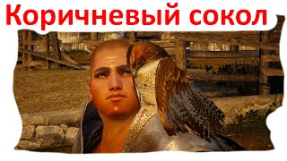 Black desert Сокровища Маэвы - Коричневый сокол Black desert Сокровища Маэвы - Коричневый сокол