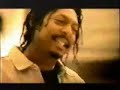 celly cel-its goin down