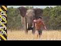 ELEPHANT ATTACK [NEW]: Chasing the truth with Andrew Ucles - Ucles vs Africa