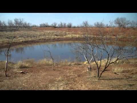 2,990 acres Snyder, TX