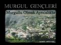 Murgul,a,soner akdemir,deniz,tolga,haydar,orkun,onur