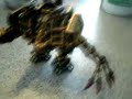 Warhammer 40k Chaos Dreadnought
