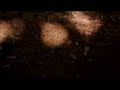 Unspeakable the film - Clip 6 of 6 Unspeakable the film - Clip 6 of 6