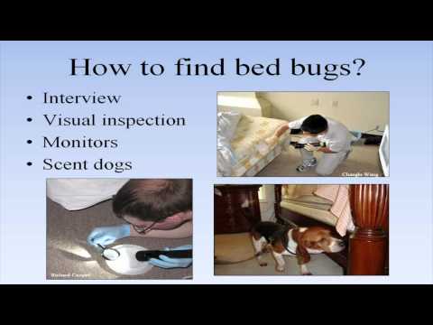 Bed Bug Training for Building Managers and Staff Video Screenshot