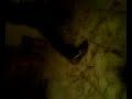 kerminator danse sur du vincent lagaf ! si vous arriver a reconnaitre cette danse j aimerais bien savoir son nom lol! la danse du bourr� peut etre lol