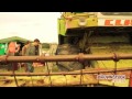 Lucky Life TV Presents Brownstock Festival 2010