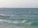 shandowith-friends.html