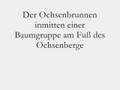Adolphus Busch (1839-1913) und der Ochsenbrunnen
