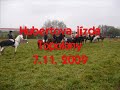 Hubertova jízda Topolany 7. 11.  09