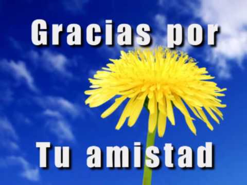 Gracias por tu amistad