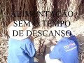 ergonomia na colheita da cana ergonomia na colheita da cana