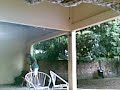 curtindo um som eletrônico com minhas filhotas