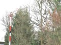 Mainsigal Alfter Oedekoven Bonn Duisdorf in Action
