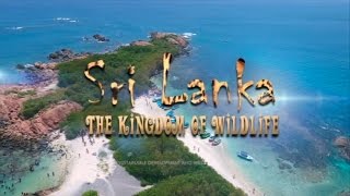 Sri Lanka's Amazing Wildlife