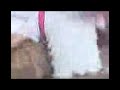 aravin from areyalai to Kualatumpur (5)