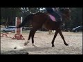 Hipismo aula 1