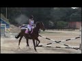 Hipismo aula 1 Hipismo aula 1