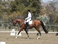 Serra 09.06.08 1st level test 4- 66.8% (KrackC x Wagner)