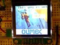 lpc2119 with nokia 6100 lcd