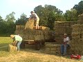 Farmall 460 - Hay Fields... Farmall 460 - Hay Fields...