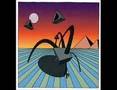 The Dismemberment Plan - Spider in the Snow