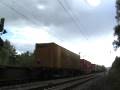 A Class 66 is heading with high speed towards Bonn-Cologne at the Rhine-Line in Germany