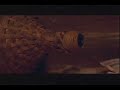 Daumenlutscher Trailer
