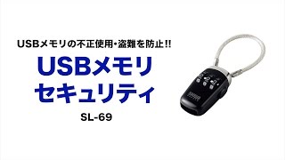 [USBメモリセキュリティの紹介]