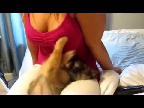 Il cucciolo più fortunato al mondo Il cucciolo più fortunato al mondo