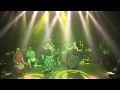 Youtube Video iQAwUo2AhAc