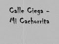 Calle Ciega - Mi Cachorrita Reggaetonwmv
