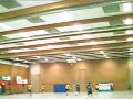 Handball: MTV Herzhorn - SG Flensburg/Handewitt (2)
