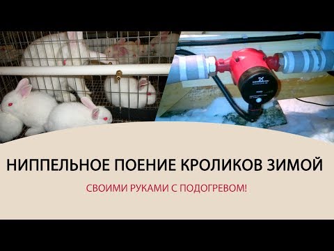 Подогрев поилок для кроликов своими руками видео Подогрев поилок для кроликов своими руками видео
