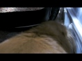 Click here to watch this video うちの子、ごはんに文句を言うんです -10- My dog complains about a meal.