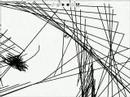 Line Rider Death Loop