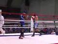 arsim-borovci-vs-pes